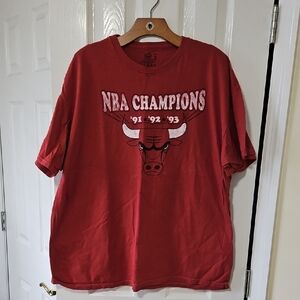 Fruit of the Loom Red Chicago Bulls Champion Cotton T-Shirt